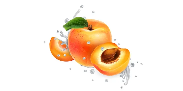 Abricots dans des éclaboussures de lait ou de yaourt. — Image vectorielle