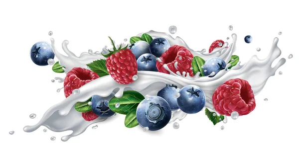 Blaubeeren und Himbeeren im Milch- oder Joghurtspritzer. — Stockvektor