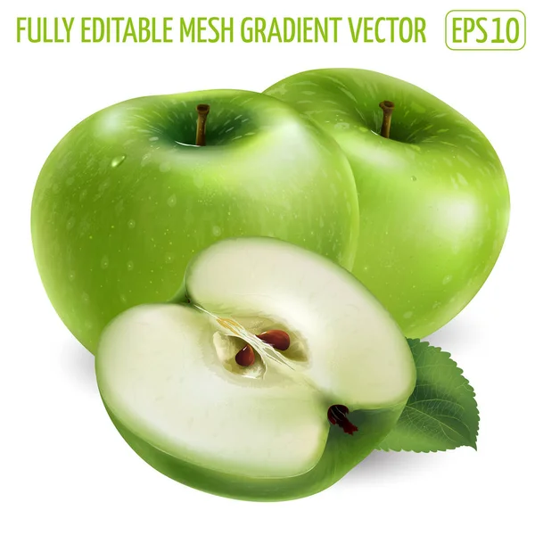 Dos manzanas verdes y una rebanada sobre fondo blanco. — Vector de stock