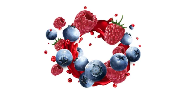 Bleuets et framboises dans une goutte de jus de fruits rouges. — Image vectorielle