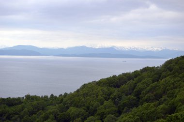 Avacha Bay yukarıdan görünüm