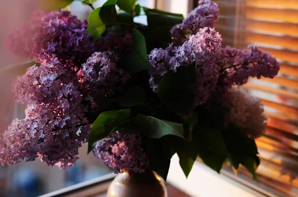 Bouquet Lilacs Sunset — Stock Photo, Image