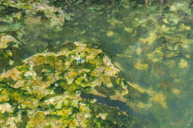 Phatthalung sıcak su ve kaya kaplıca, Tayland