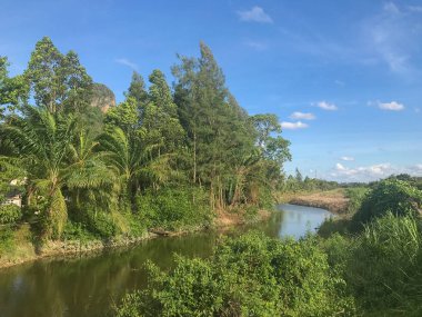 phatthalung, Tayland doğa sahnesi nehir ve dağ