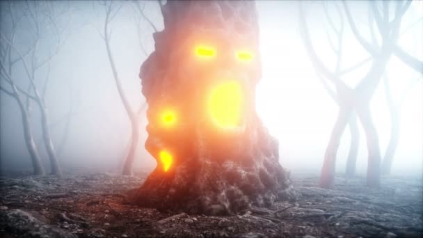 Piedra gritando cabeza en niebla bosque nocturno. Miedo y horror. Mistyc concepto de halloween. Animación realista 4K . — Vídeo de stock