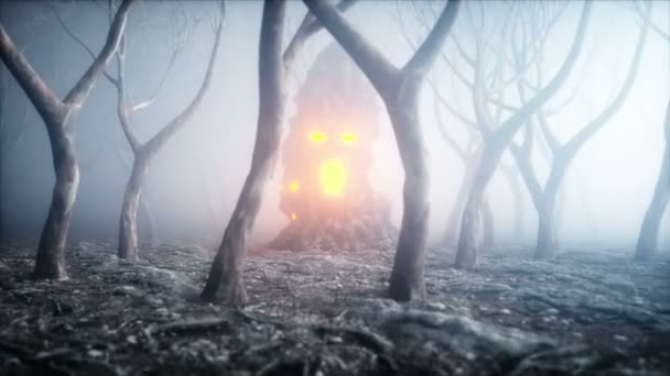 Πέτρα ουρλιάζοντας κεφάλι σε δάσος νυχτερινό ομίχλης. Φόβος και φρίκη. Mistyc έννοια του halloween. Ρεαλιστικό animation 4 k. — Αρχείο Βίντεο