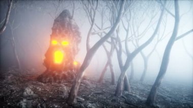 taş kafa sis gece ormandaki çığlık. Korku ve dehşet. Cadılar Bayramı'Mistyc kavramı. Gerçekçi 4 k animasyon.