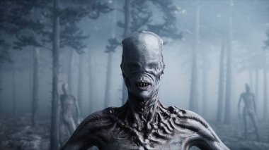 sis gece Orman korkunç canavar. Korku ve dehşet. Mistic ve ufo kavramı. 3D render.