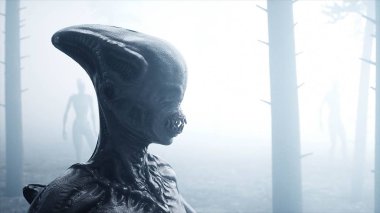 sis gece Orman korkunç canavar. Korku ve dehşet. Mistic ve ufo kavramı. 3D render.