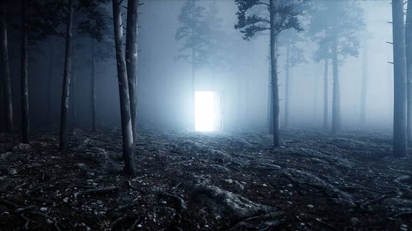 Glowing door in fog night forest. Light portal. Mistic and magic concept. 3d rendering