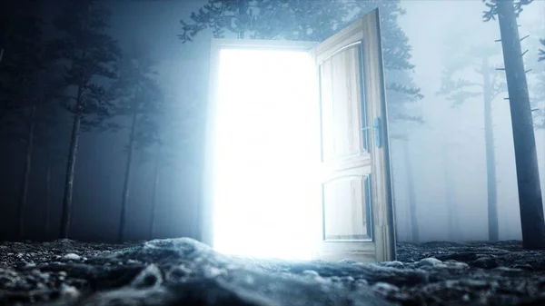 Izzó ajtó köd éjszakai erdő. Fény portál. Mistic és mágikus fogalom. 3D-leképezés. — Stock Fotó