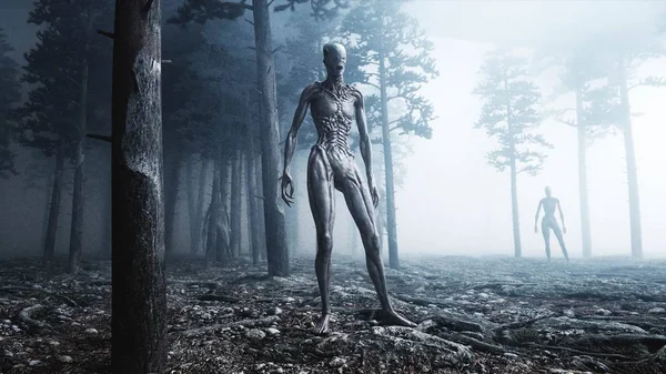 Monstruo aterrador en el bosque nocturno de niebla. Miedo y horror. Concepto místico y OVNI. renderizado 3d . —  Fotos de Stock