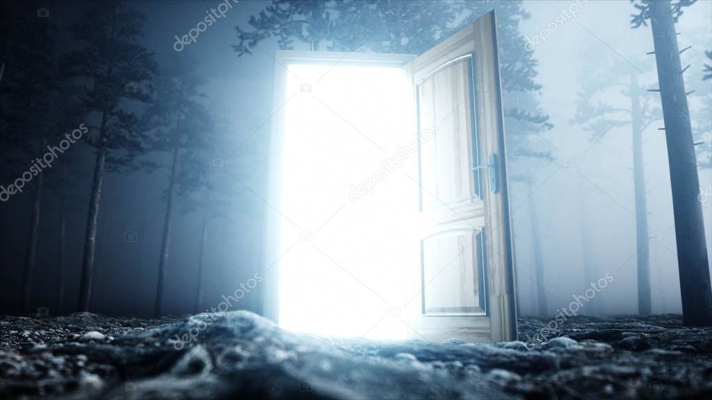 Glowing door in fog night forest. Light portal. Mistic and magic concept. 3d rendering.