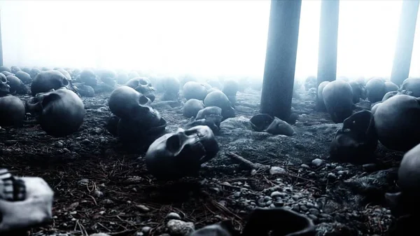 Velhos crânios assustadores na floresta de nevoeiro. Medo e horror. Conceito mistico e apocalíptico. Renderização 3d . — Fotografia de Stock