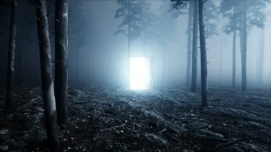 Parlak kapı sis gece ormanda. Işık portal. Kılınacaktır ve sihirli bir kavram. Gerçekçi 4 k animasyon.