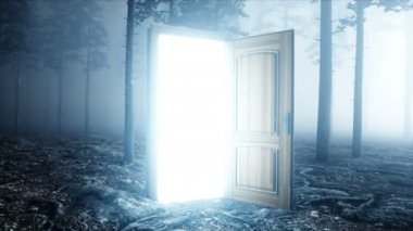 Parlak kapı sis gece ormanda. Işık portal. Kılınacaktır ve sihirli bir kavram. Gerçekçi 4 k animasyon.
