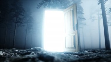 Parlak kapı sis gece ormanda. Işık portal. Kılınacaktır ve sihirli bir kavram. Gerçekçi 4 k animasyon.