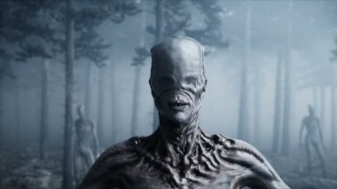 sis gece Orman korkunç canavar. Korku ve dehşet. Mistic ve ufo kavramı. Gerçekçi 4 k animasyon.
