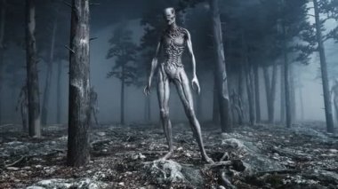 sis gece Orman korkunç canavar. Korku ve dehşet. Mistic ve ufo kavramı. Gerçekçi 4 k animasyon.