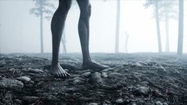 sis gece Orman korkunç canavar. Korku ve dehşet. Mistic ve ufo kavramı. Gerçekçi 4 k animasyon.