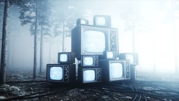 Antiguo televisor antiguo en el bosque nocturno de niebla. Miedo y horror. Concepto místico. Transmisión. Animación realista 4K . — Vídeo de stock