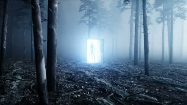 Sis gece ormanda uzaylı. Işık portal kapı. UFO kavramı. Gerçekçi 4 k animasyon.