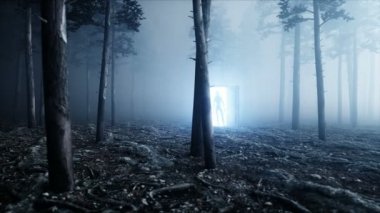 Sis gece ormanda uzaylı. Işık portal kapı. UFO kavramı. Gerçekçi 4 k animasyon.