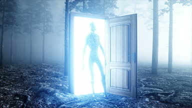 Sis gece ormanda uzaylı. Işık portal kapı. UFO kavramı. Gerçekçi 4 k animasyon.