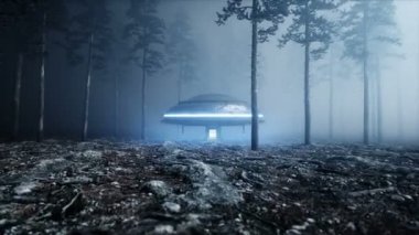UFO sis gece orman içinde. yere iniş. 4 k animasyon.