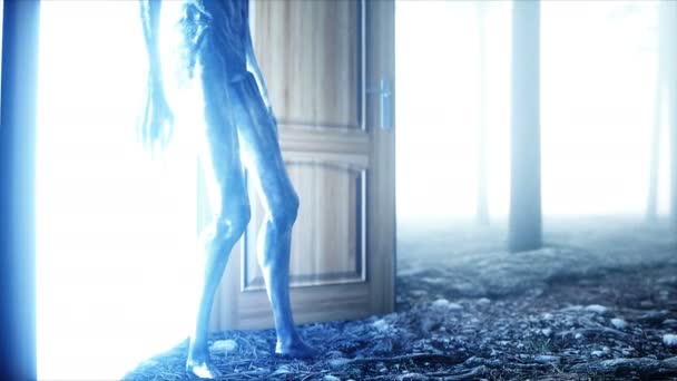 Alien in fog night forest. Light portal door. UFO concept. Realistic 4K animation. — Stock Video