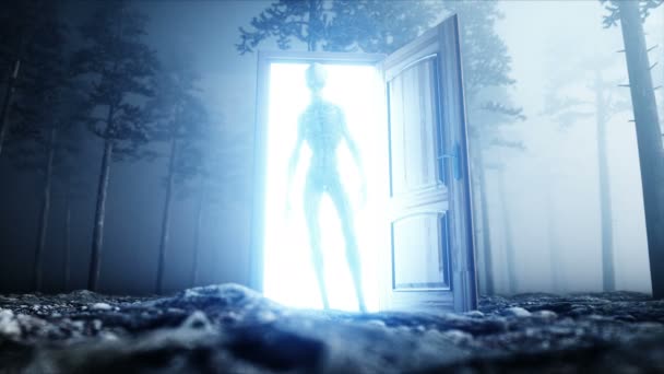 Alieno nella foresta di notte nebbia. Porta del portale luminoso. Concetto UFO. Animazione 4K realistica . — Video Stock