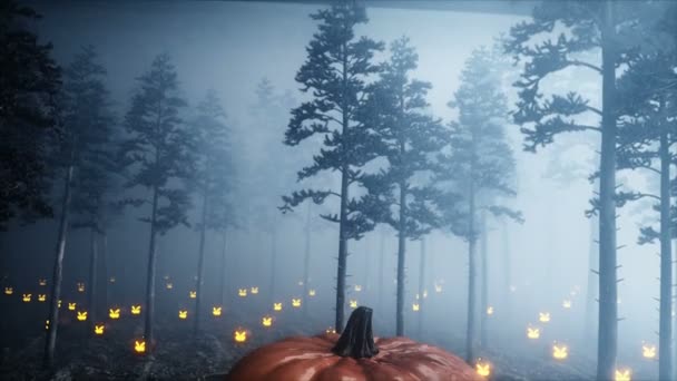 Calabaza gigante de miedo en el bosque nocturno de niebla. Miedo y horror. Concepto místico y halloween. Animación realista 4K . — Vídeo de stock