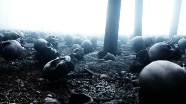Gruselige alte Totenköpfe im Nebelwald. Angst und Schrecken. mistisches und apokalyptisches Konzept. realistische 4k-Animation. — Stockvideo