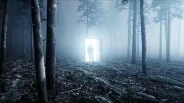 Astronot sis gece ormanda. Işık portal kapı. yere iniş. 4 k animasyon.