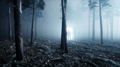 Astronot sis gece ormanda. Işık portal kapı. yere iniş. 4 k animasyon.