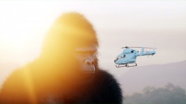 Dev goril ve helikopter ormanda. Tarih öncesi hayvan ve canavar. Gerçekçi kürk ve animasyon. 4k render.
