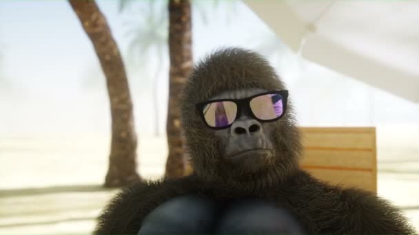 Funny gorilla in glasses lies on a deckchair. Beach and palms. Spa, resort concept. Realistic 4K animation. — Stock Video