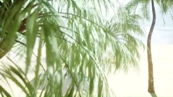 Забавная горилла в очках лежит на шезлонге. Пляж и пальмы. Курортная концепция. Реалистичная 4K-анимация . — стоковое видео