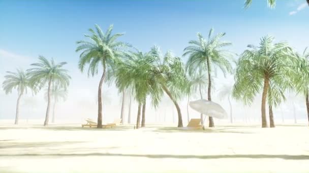 太陽が降り注ぐビーチとヤシの木のデッキチェアを利用。スパ、リゾートのコンセプト。リアル 4 k アニメーション. — ストック動画
