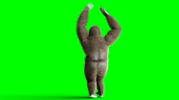 Смешная коричневая горилла танцует. Супер реалистичный мех и волосы. Зеленый экран 4K анимация . — стоковое видео