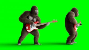 Bas gitar oyna komik kahverengi gorilla. Süper gerçekçi kürk ve saç. Yeşil ekran 4k animasyon.