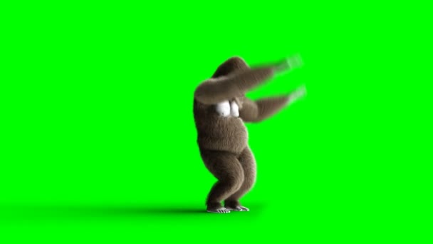 Vicces barna gorilla tánc. Super reális szőrme és a haj. Zöld képernyő 4k animáció.