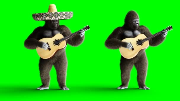 滑稽的棕色大猩猩弹吉他。超逼真的毛皮和头发。绿色屏幕4k 动画. — 图库视频影像