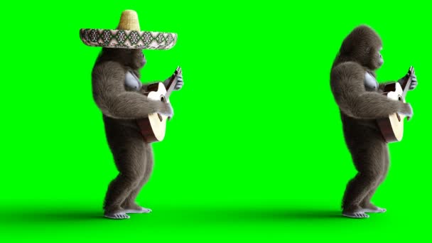 Забавная коричневая горилла играет на гитаре. Супер реалистичный мех и волосы. Зеленый экран 4K анимация . — стоковое видео