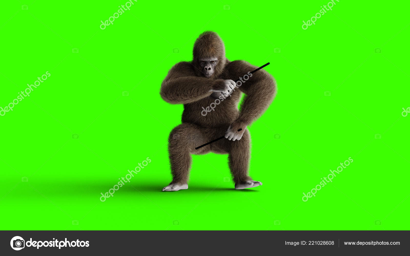 Funny brown gorilla play the drum. Super realistic fur and hair. Green  screen. 3d rendering. Stock Photo by ©chagpg 221028608
