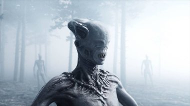 sis gece Orman korkunç canavar. Korku ve dehşet. Mistic ve ufo kavramı. 3D render.