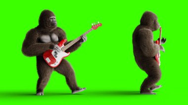 Bas gitar oyna komik kahverengi gorilla. Süper gerçekçi kürk ve saç. Yeşil ekran. 3D render.