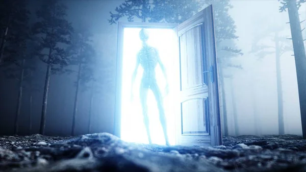 Alien in fog night forest. Light portal door. UFO concept. 3d rendering.