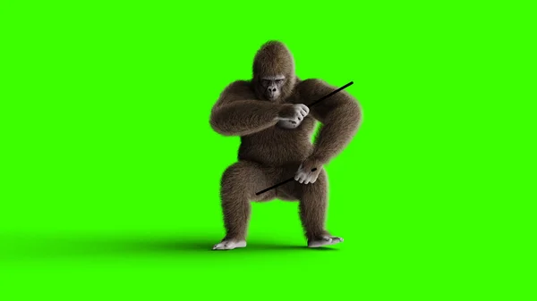 Divertente gorilla marrone suonare il tamburo. Pelliccia e capelli super realistici. Schermo verde. rendering 3d . — Foto Stock