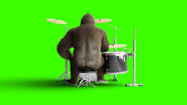 Funny brown gorilla play the drum. Super realistic fur and hair. Green screen. 3d rendering.